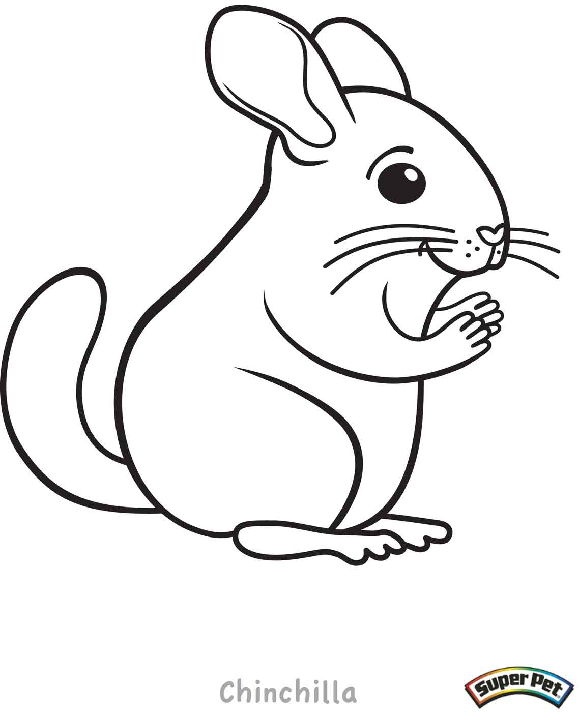 chinchilla coloring page