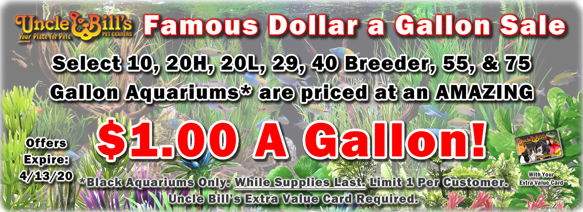 dollar a gallon aquarium sale