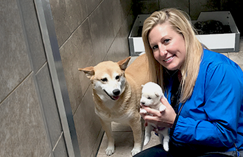 ceo and puppies in kennel facility